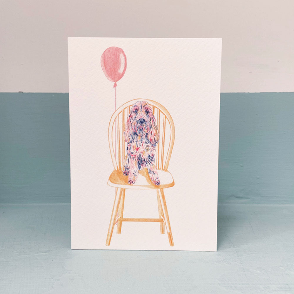 Cockapoo on Chair