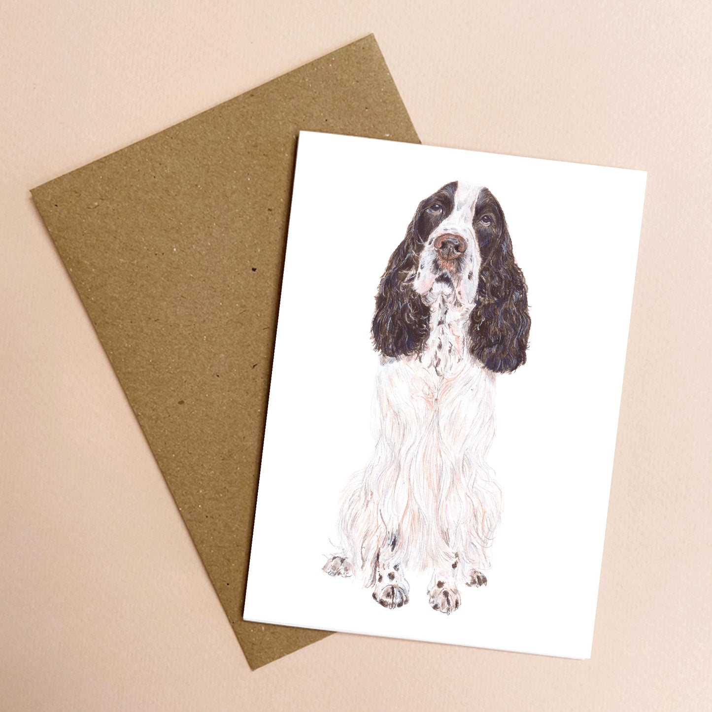 Cocker Spaniel