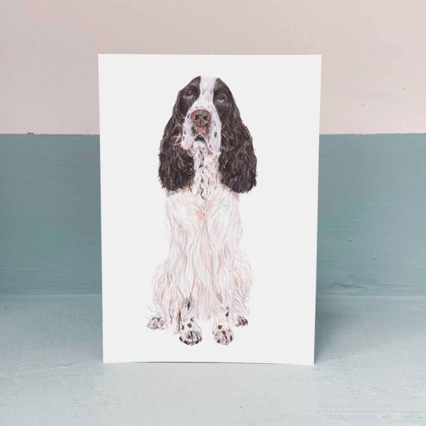 Cocker Spaniel