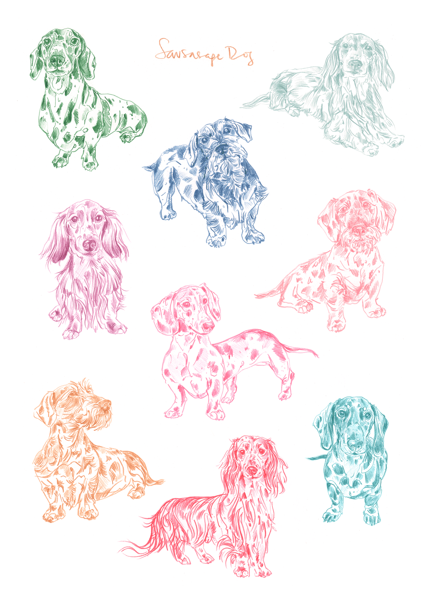 Sausage Dog Print (Dachshund)