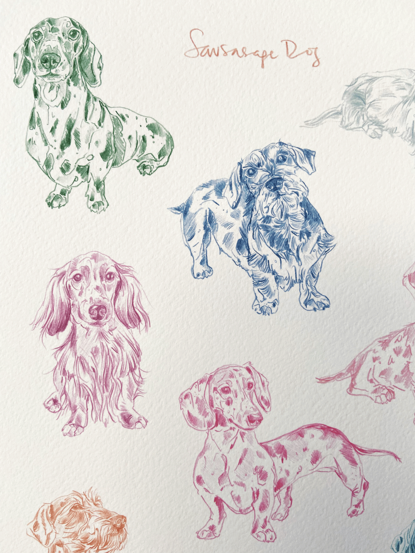 Sausage Dog Print (Dachshund)