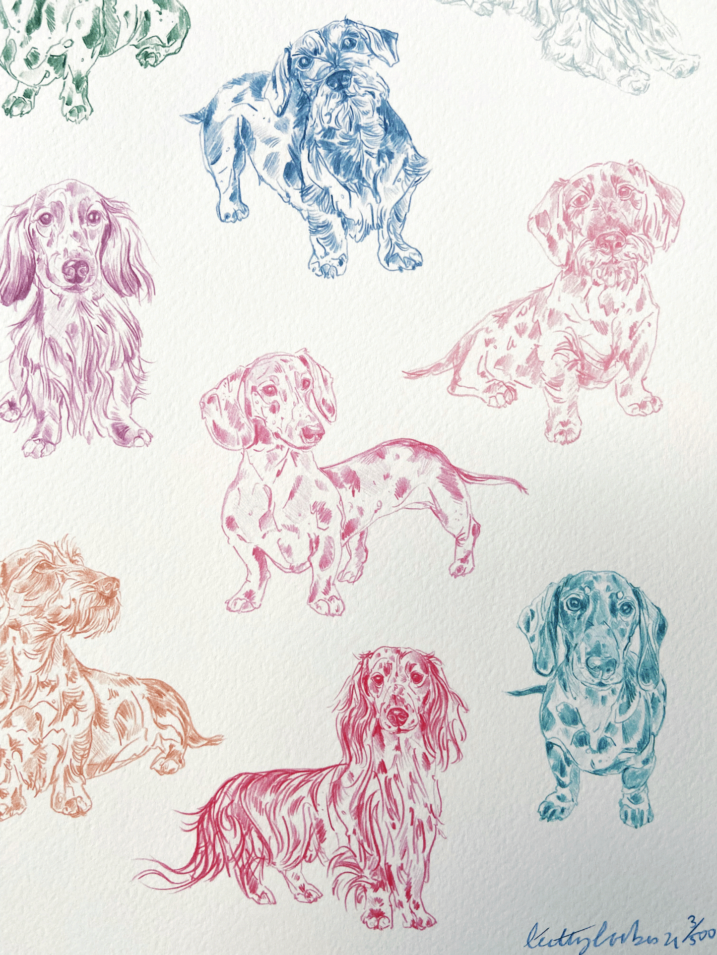 Sausage Dog Print (Dachshund)