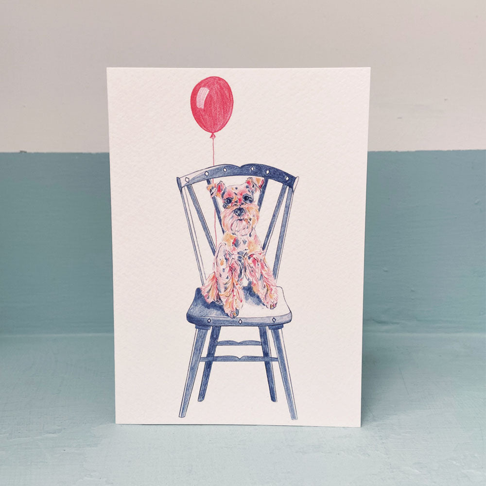 Schnouzer on Chair