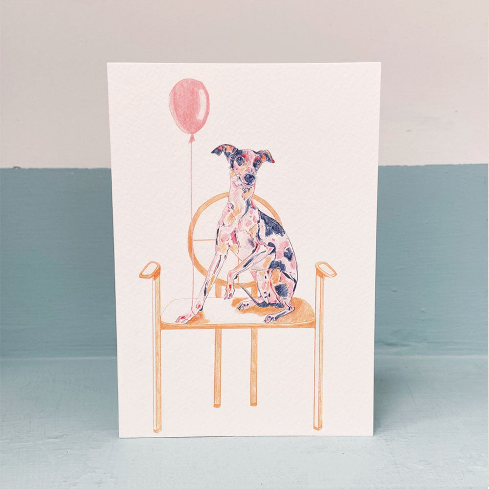 Whippet on Chair