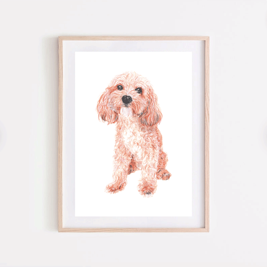 Apricot Cavapoo Print