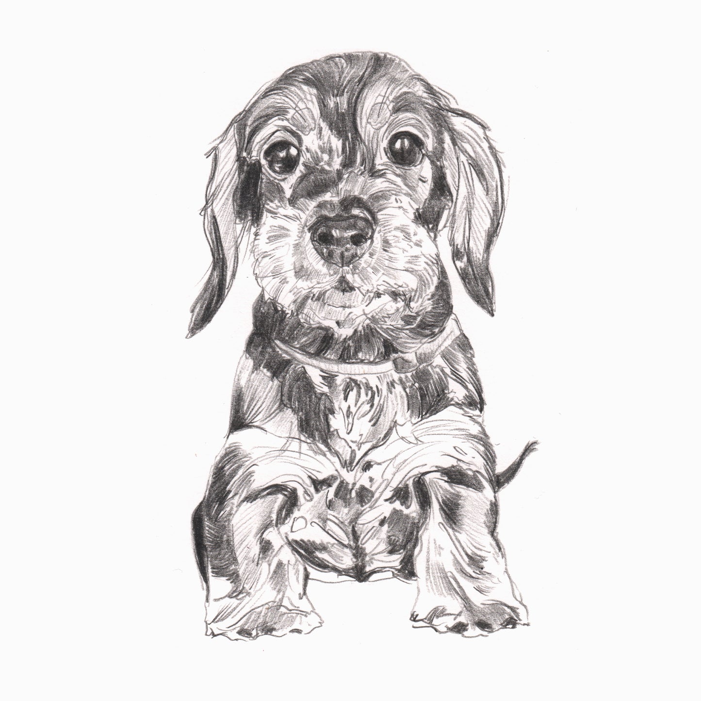 Line Drawings
