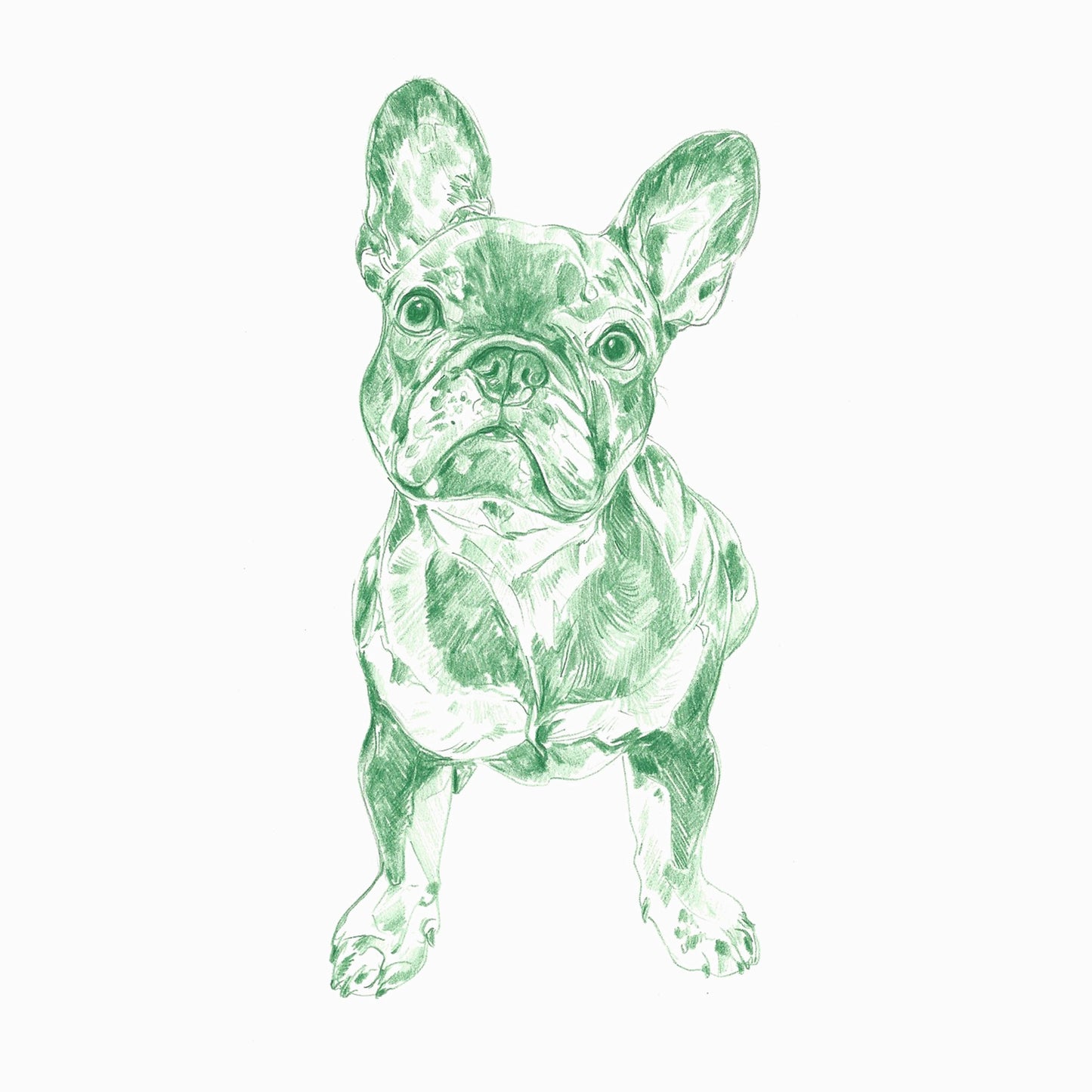 Line Drawings