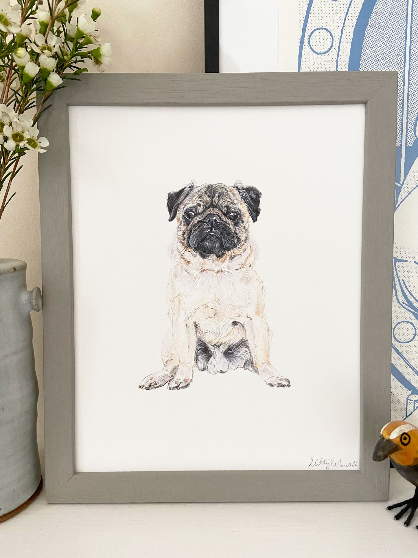 Fawn Pug