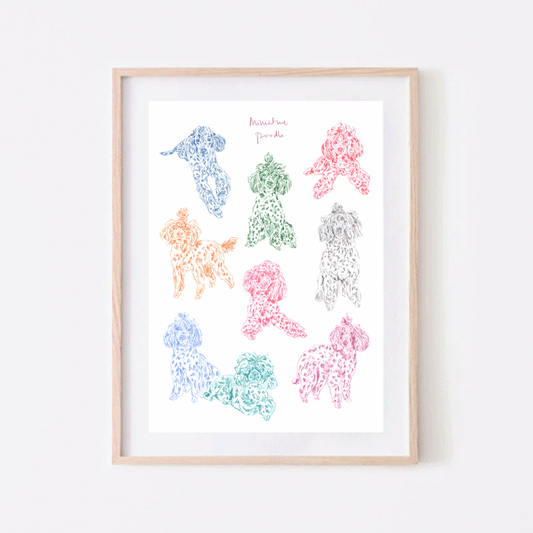 Miniature Poodle Print