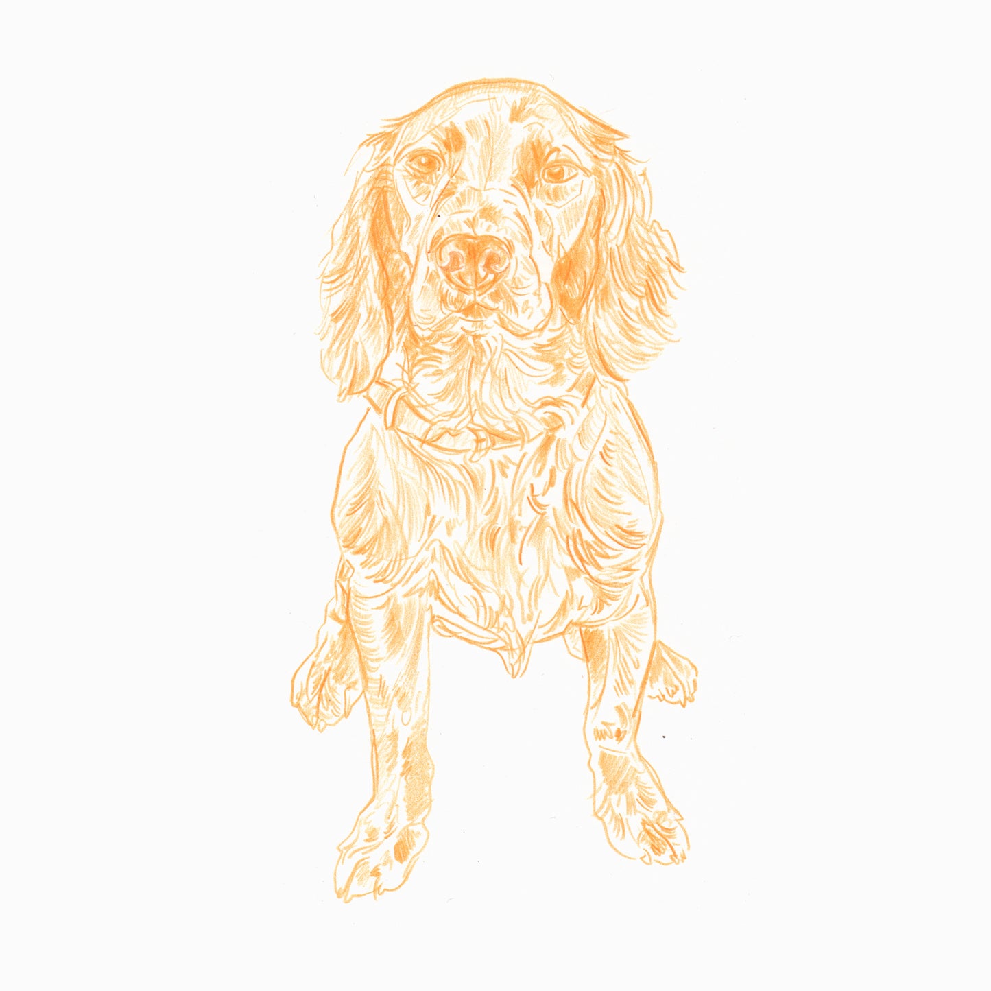 Line Drawings