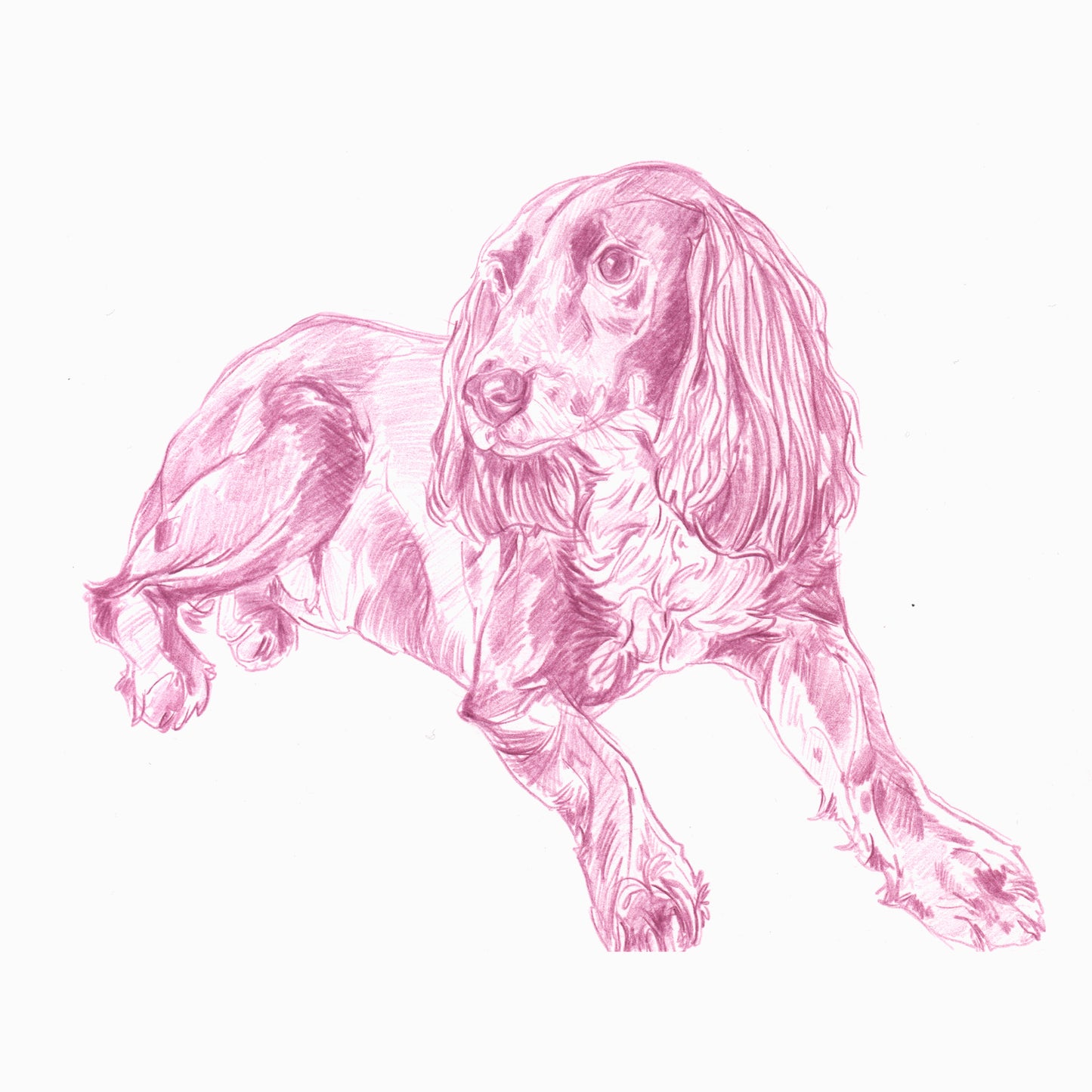 Line Drawings