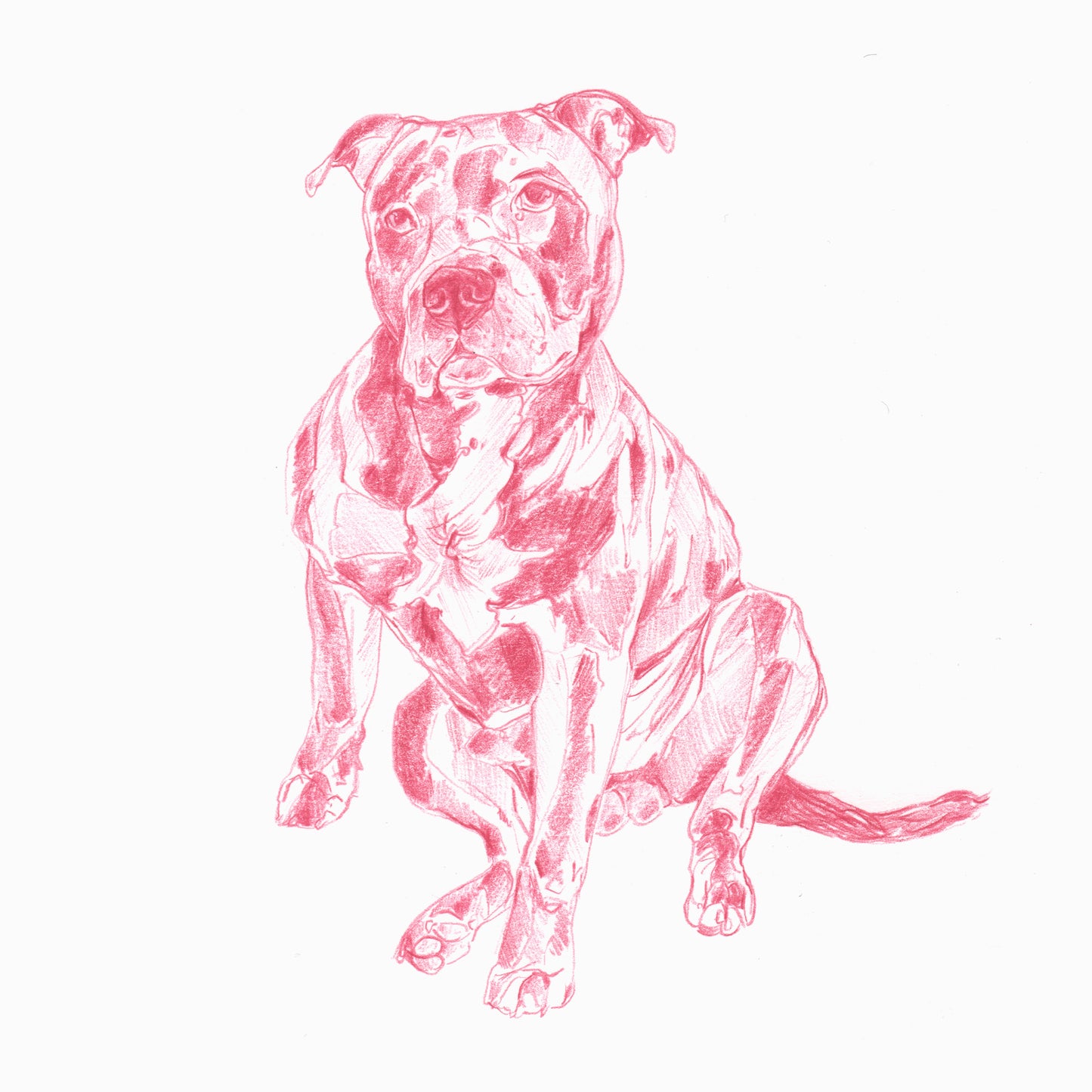 Line Drawings