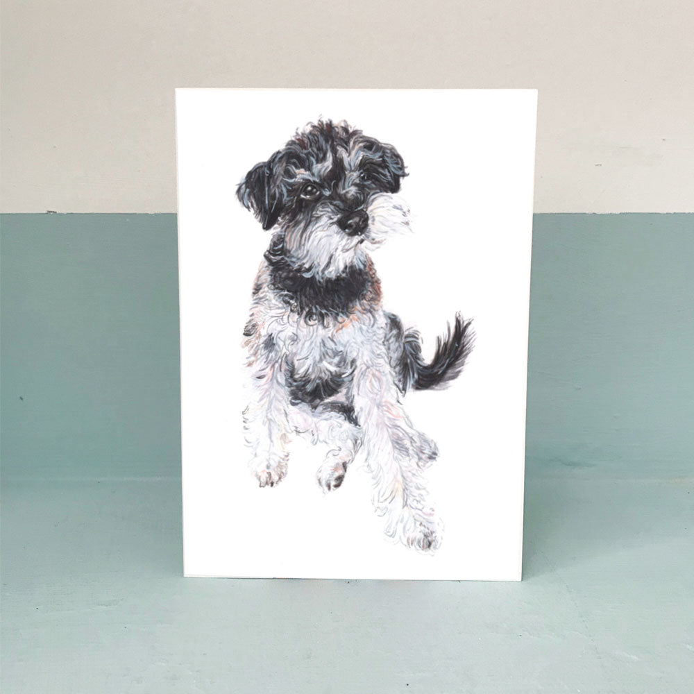 Schnoodle Card