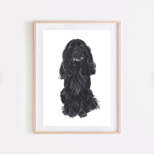 Black Working Spaniel